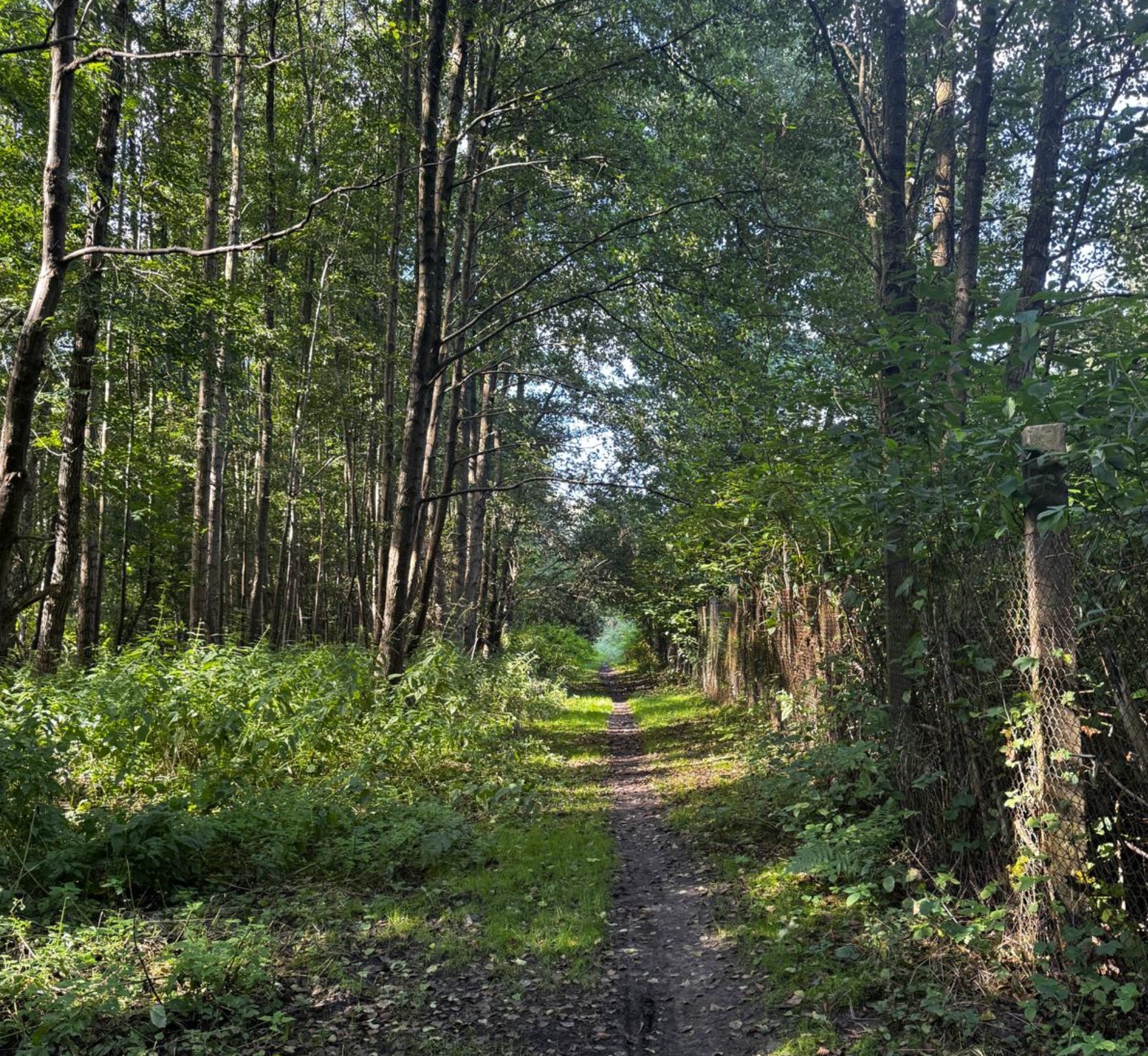 Wanderweg